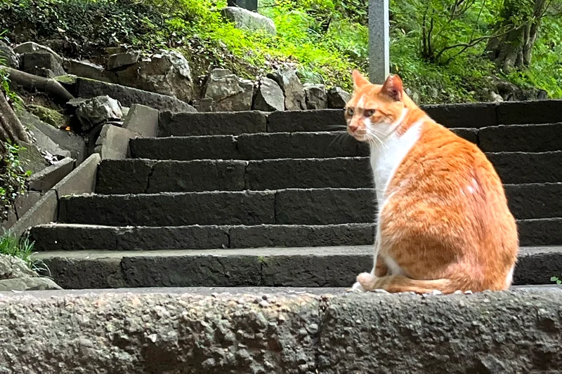 唐沢山城