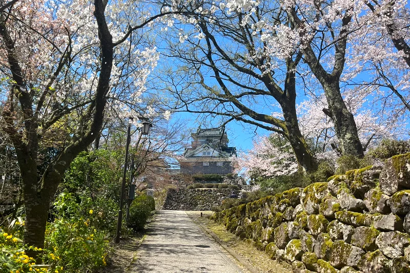 越前大野城