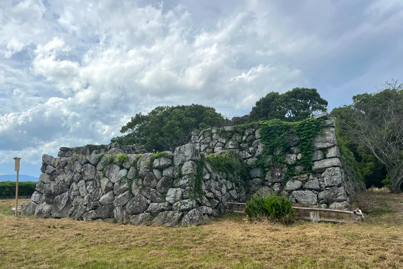 田丸城