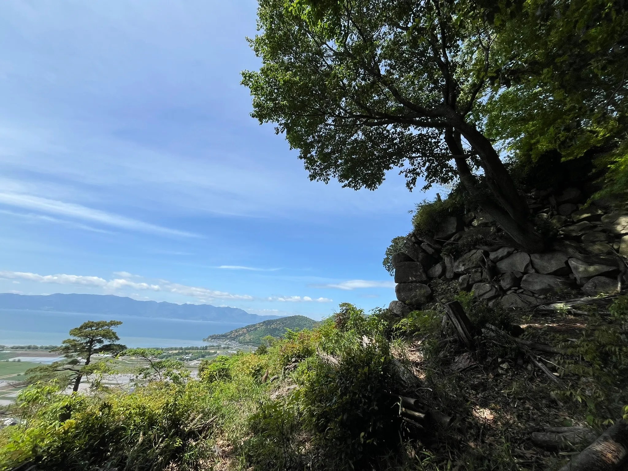 八幡山城