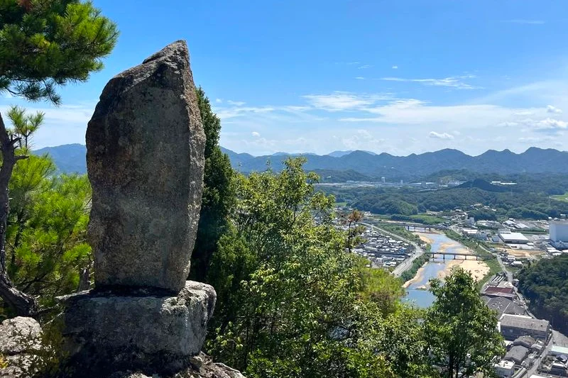 新高山城