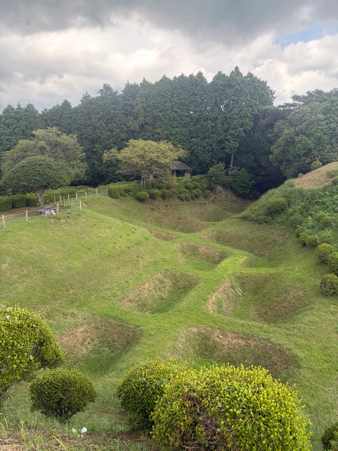 東京から山中城へ日帰り｜興国寺城・沼津港・箱根関所を巡る実際のルート