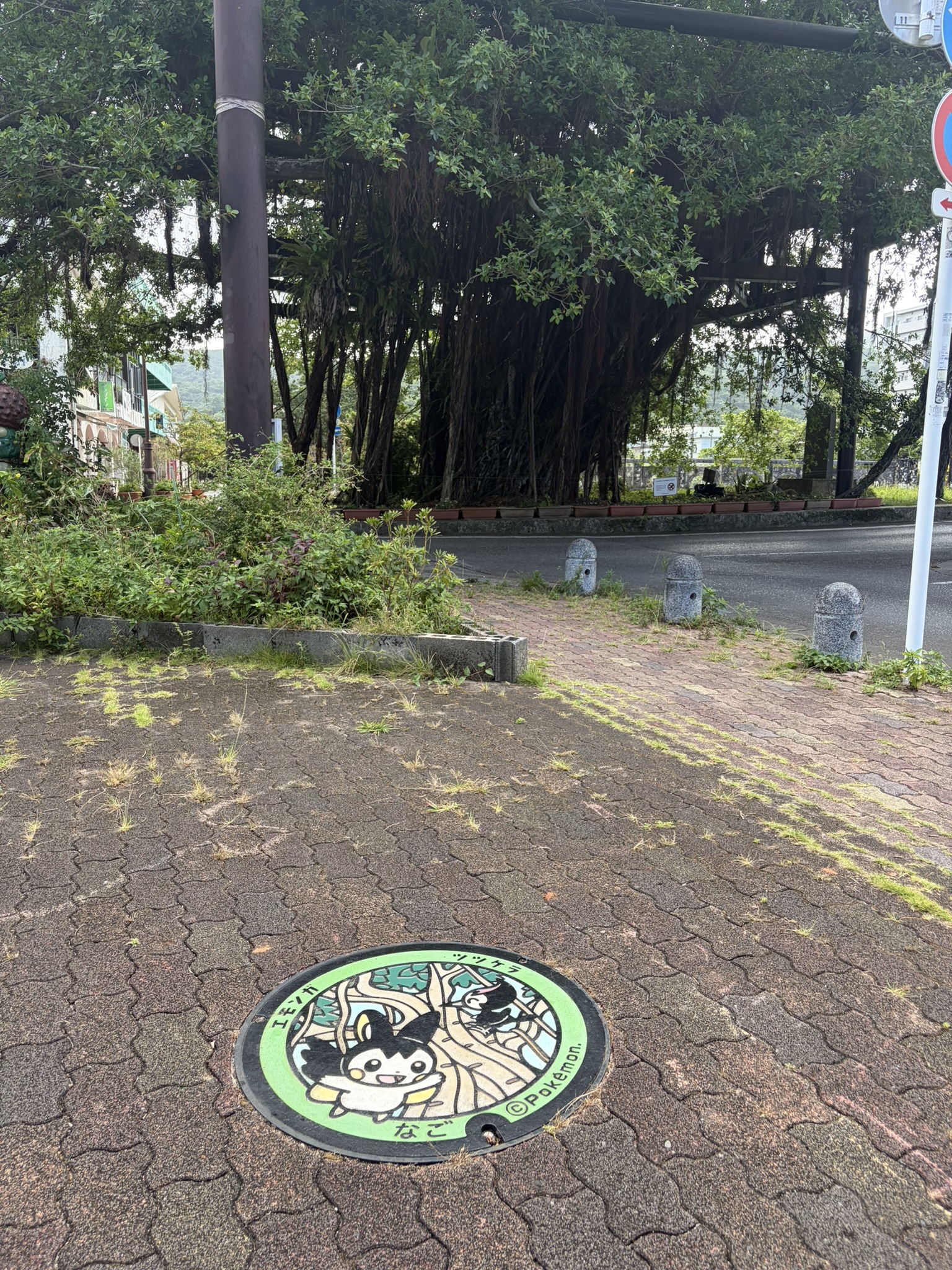 沖縄県 名護市のポケふた