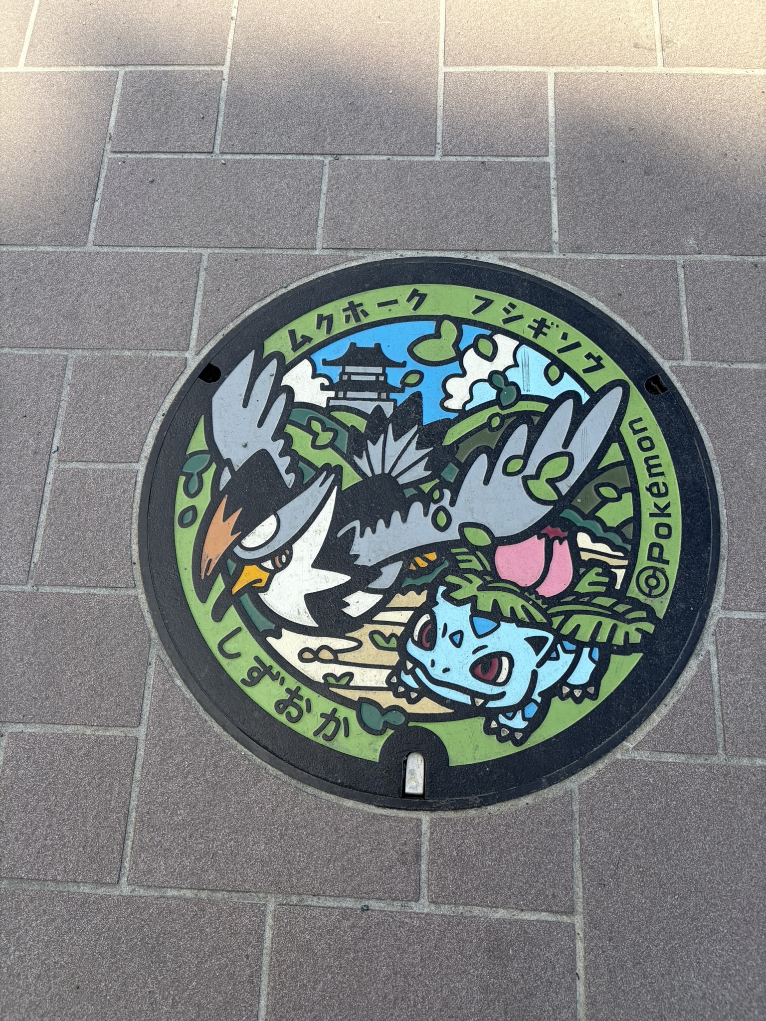 静岡県 静岡市のポケふた