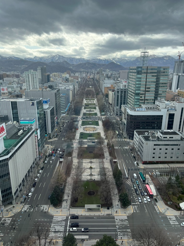 The Ultimate Pokémon Treasure Hunt in Hokkaido: Snow, Scenery, and the Alolan Vulpix Poké Lids 札幌・大通公園