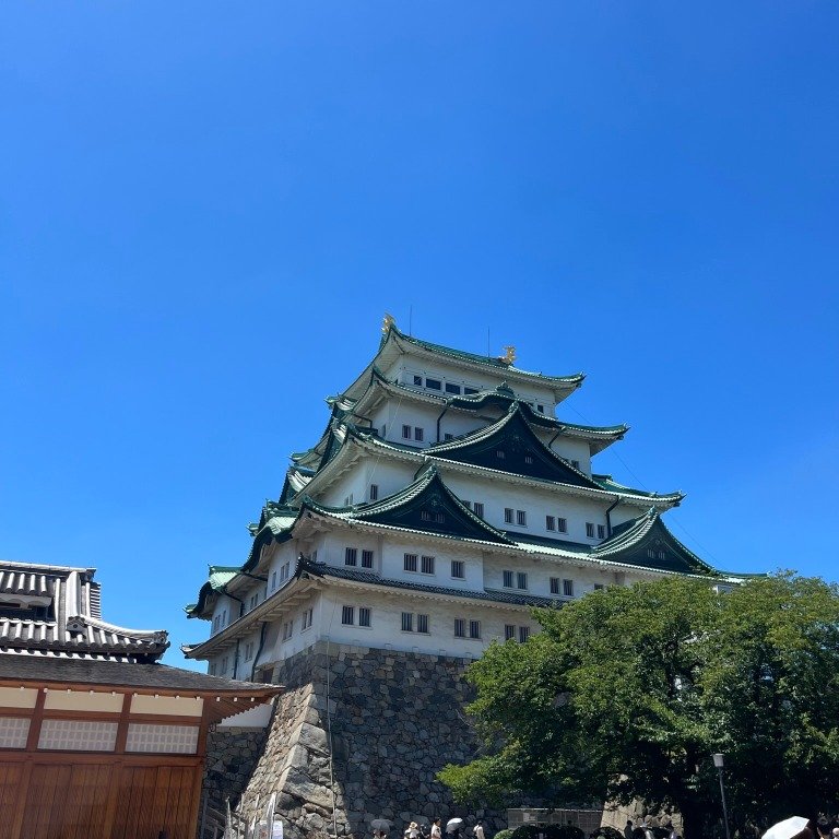 The Secrets of Japanese Castles: Samurai Fortresses and the Top 10 Must-See Castles Nagoya Castle