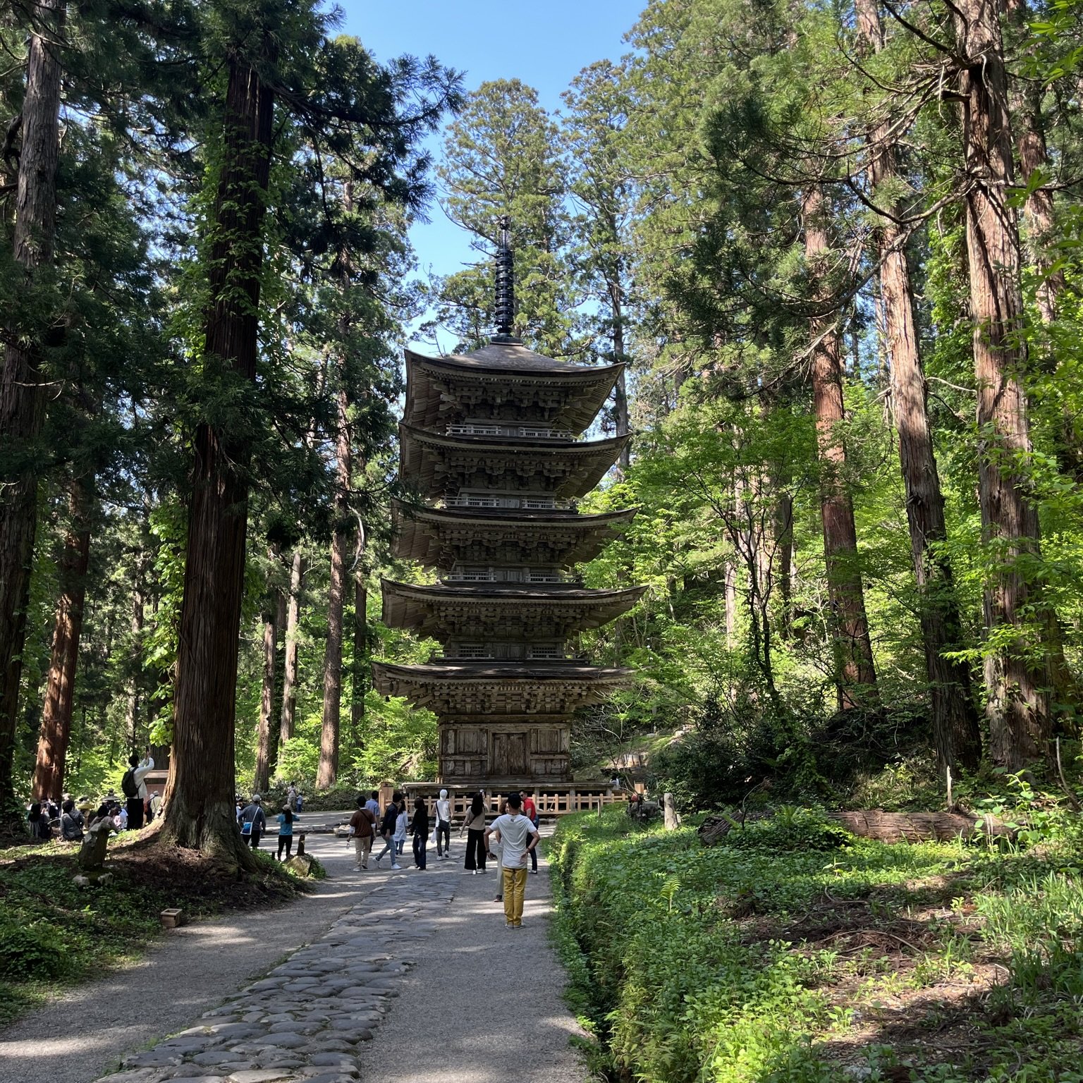 Matatabi Taro's Spectacular Adventures: Discover the Mystical Mountain Faith and Ultimate Noodle Kingdom of Yamagata Prefecture Hagurosan
